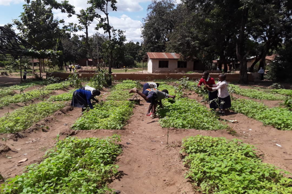 Vertical Farming Uganda